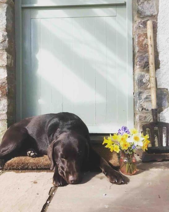 The Nookery Villa Winscombe ภายนอก รูปภาพ